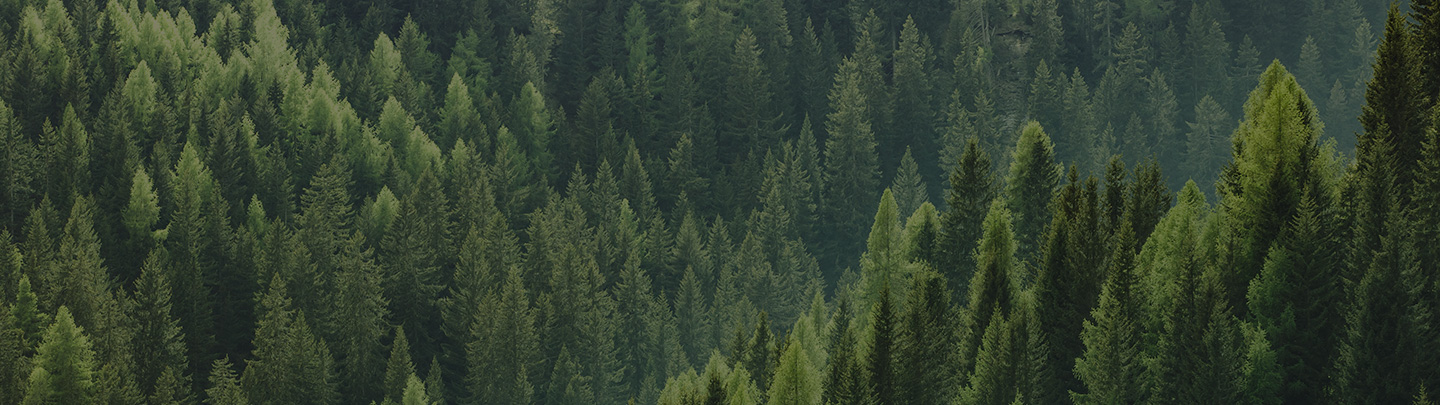 Наша политика по защите окружающей среды