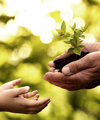 hands typing on a laptop