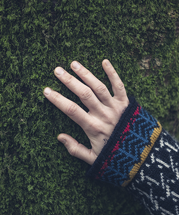 hand on tree